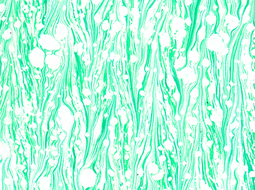 Handmade paper