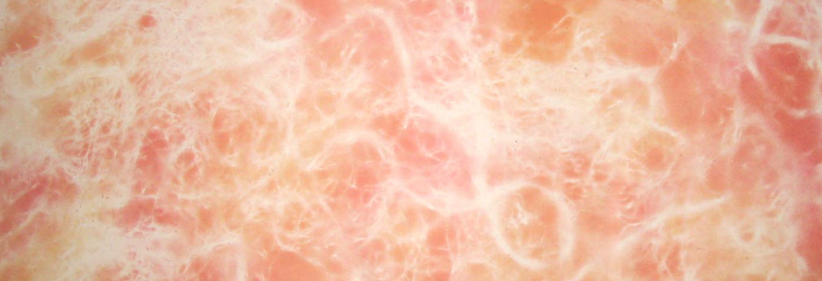 Sri Aurobindo Handmade Paper factory - Hand Sprayed Paper